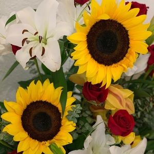 Meet your Posher, Helga